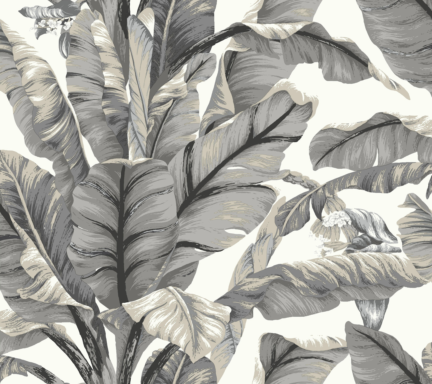 York Wallcoverings York Premium Peel + Stick Banana Leaf White and Black Peel and Stick Wallpaper  Botanical Whites and Off-Whites  Wallpaper - PSW1037RL
