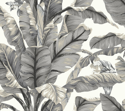 York Wallcoverings York Premium Peel + Stick Banana Leaf White and Black Peel and Stick Wallpaper  Botanical Whites and Off-Whites  Wallpaper - PSW1037RL