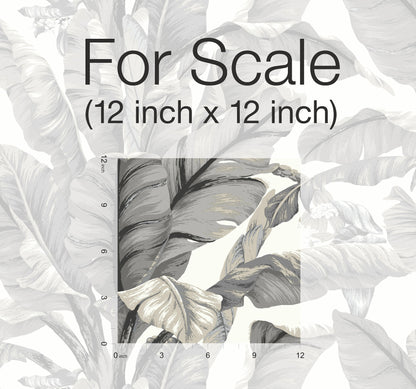 York Wallcoverings York Premium Peel + Stick Banana Leaf White and Black Peel and Stick Wallpaper  Botanical Whites and Off-Whites  Wallpaper - PSW1037RL