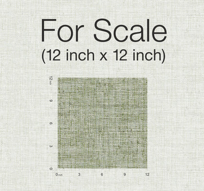 York Wallcoverings York Premium Peel + Stick Papyrus Weave Green Peel and Stick Wallpaper  Textures Greens  Wallpaper - PSW1038RL