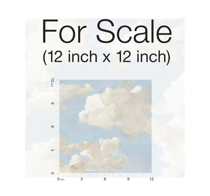 York Wallcoverings York Premium Peel + Stick Clouds on Canvas Blue Peel and Stick Wallpaper  Children and Nursery Blues  Wallpaper - PSW1079RL