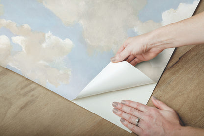 York Wallcoverings York Premium Peel + Stick Clouds on Canvas Blue Peel and Stick Wallpaper  Children and Nursery Blues  Wallpaper - PSW1079RL