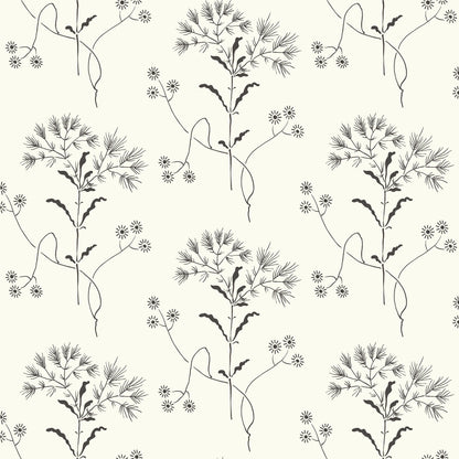 York Wallcoverings York Premium Peel + Stick Magnolia Home Wildflower Black and White Peel and Stick Wallpaper  Florals and Flowers Whites and Off-Whites  Wallpaper - PSW1153RL