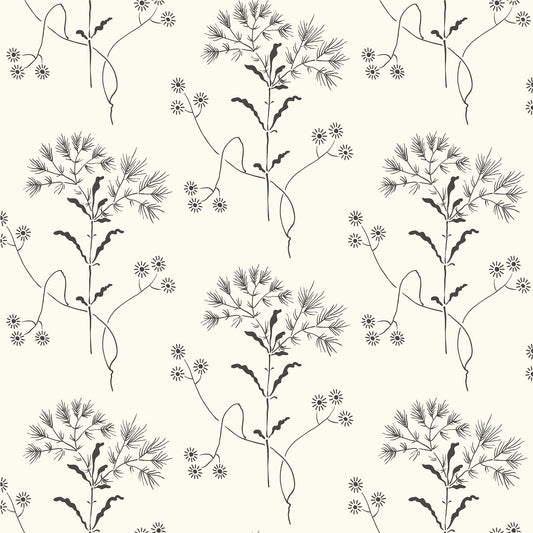 York Wallcoverings York Premium Peel + Stick Magnolia Home Wildflower Black and White Peel and Stick Wallpaper  Florals and Flowers Whites and Off-Whites  Wallpaper - PSW1153RL