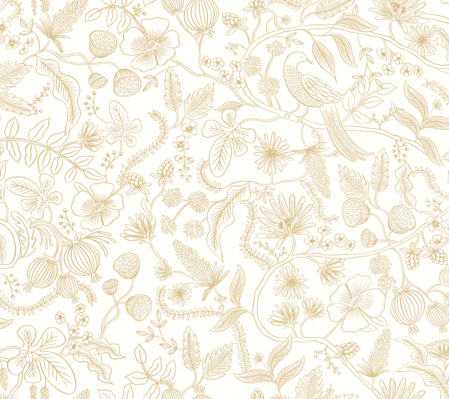 York Wallcoverings Rifle Paper Co. Premium Peel and Stick Aviary Off White and Gold Peel and Stick Wallpaper  Botanical Whites and Off-Whites  Wallpaper - PSW1309RL