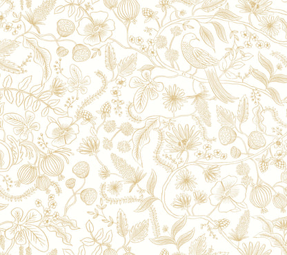 York Wallcoverings Rifle Paper Co. Premium Peel and Stick Aviary Off White and Gold Peel and Stick Wallpaper  Botanical Whites and Off-Whites  Wallpaper - PSW1309RL