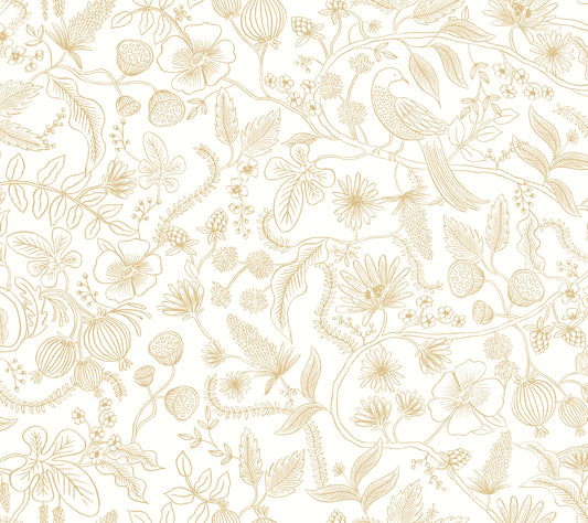York Wallcoverings Rifle Paper Co. Premium Peel and Stick Aviary Off White and Gold Peel and Stick Wallpaper  Botanical Whites and Off-Whites  Wallpaper - PSW1309RL