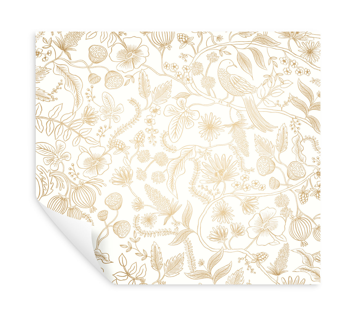 York Wallcoverings Rifle Paper Co. Premium Peel and Stick Aviary Off White and Gold Peel and Stick Wallpaper  Botanical Whites and Off-Whites  Wallpaper - PSW1309RL
