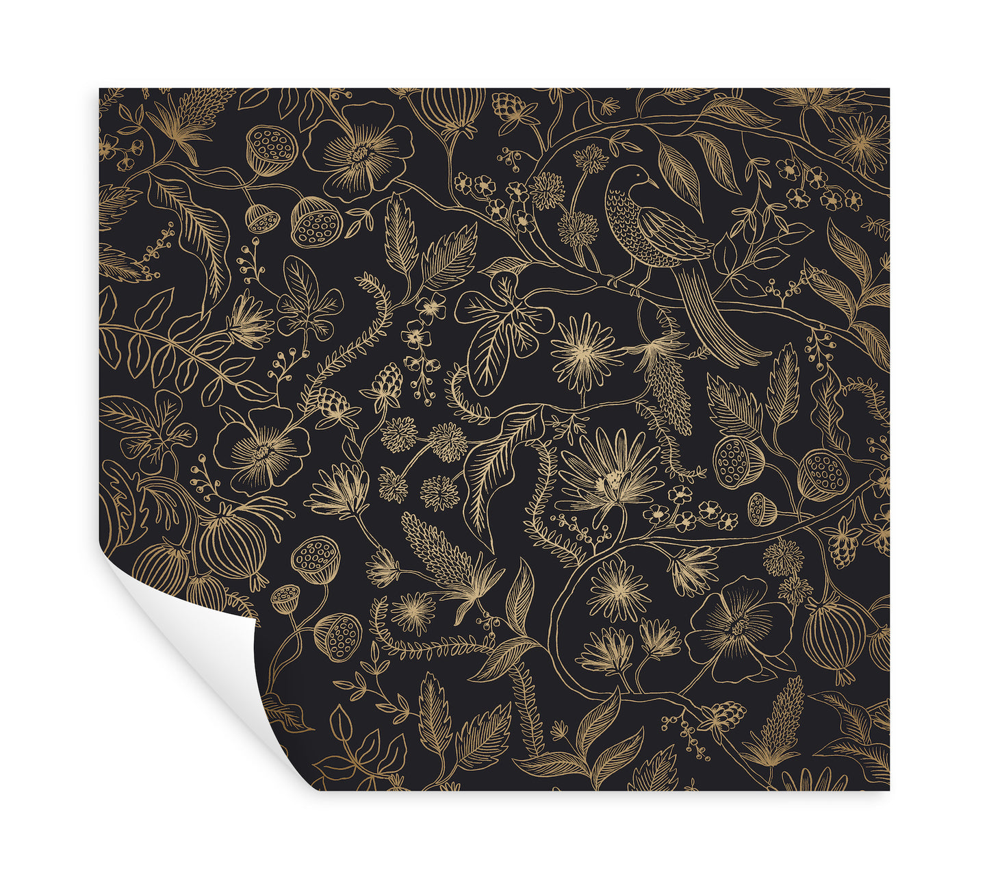 York Wallcoverings Rifle Paper Co. Premium Peel and Stick Aviary Black and Gold Peel and Stick Wallpaper  Botanical Blacks  Wallpaper - PSW1310RL