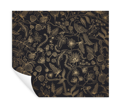 York Wallcoverings Rifle Paper Co. Premium Peel and Stick Aviary Black and Gold Peel and Stick Wallpaper  Botanical Blacks  Wallpaper - PSW1310RL