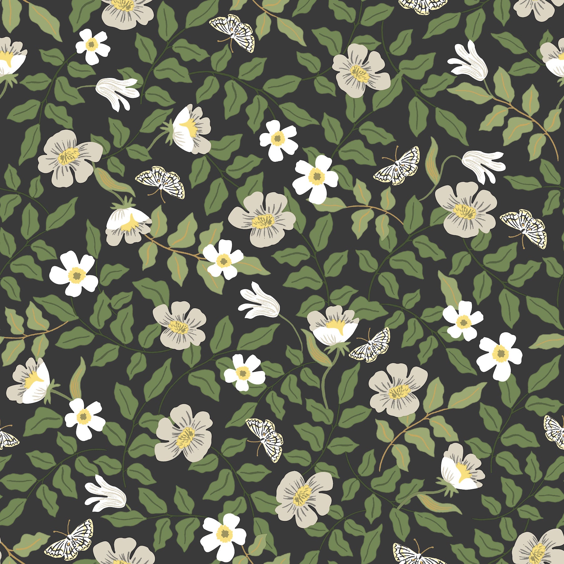 Black backdrop wallpaper with floral print in off-white and white flowers and green leaves.