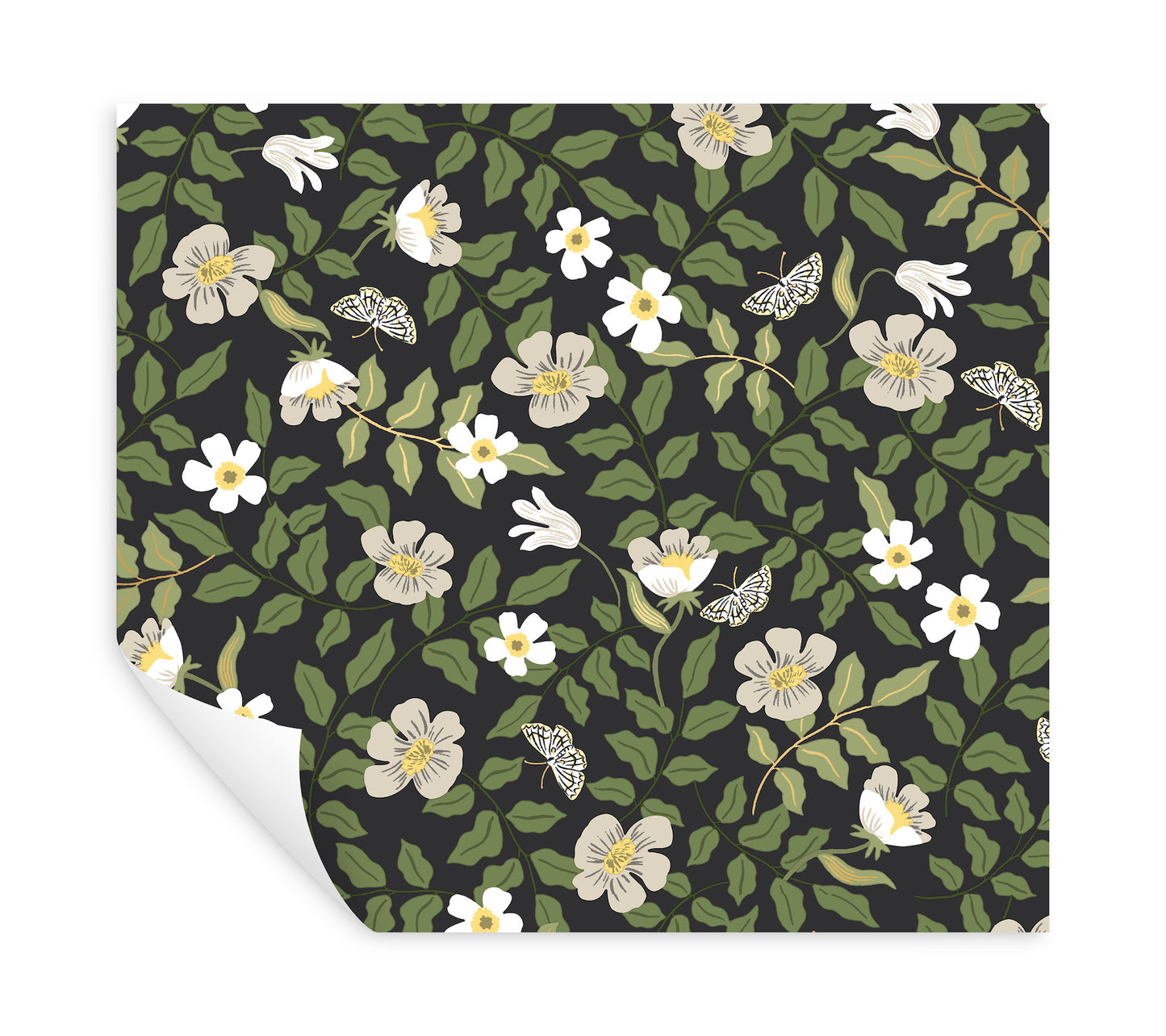 Off-white and black peel-and-stick wallpaper with primrose floral pattern, white and pale yellow flowers, green leaves, and tiny butterflies.