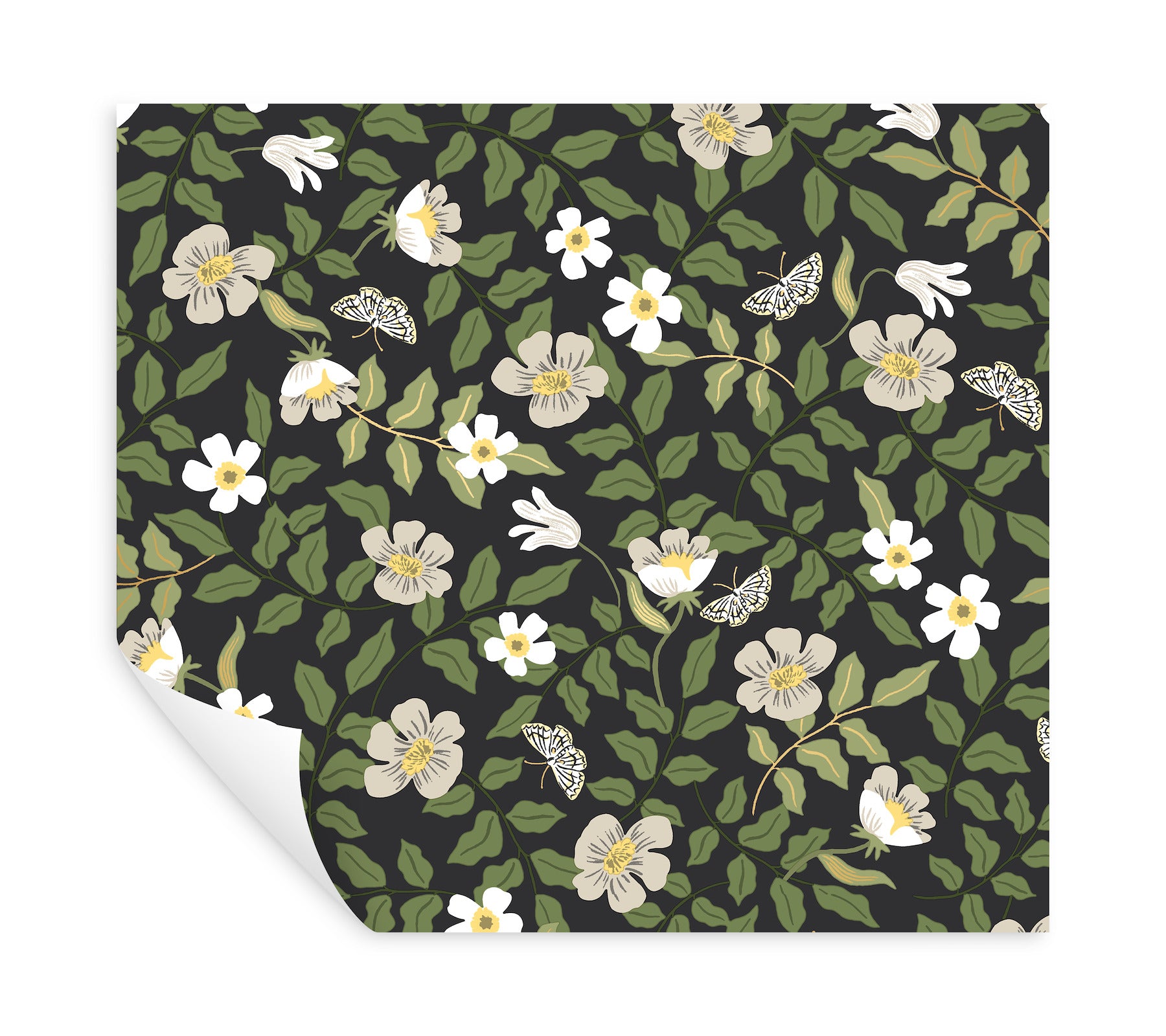 Off-white and black peel-and-stick wallpaper with primrose floral pattern, white and pale yellow flowers, green leaves, and tiny butterflies.