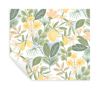 York Wallcoverings Rifle Paper Co. Premium Peel and Stick Amalfi Pink and Green Peel and Stick Wallpaper  Botanical Greens  Wallpaper - PSW1319RL