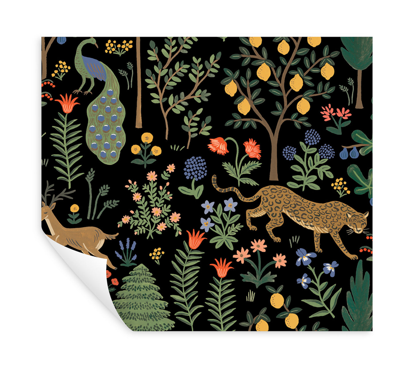 York Wallcoverings Rifle Paper Co. Premium Peel and Stick Menagerie Black Peel and Stick Wallpaper  Animals Blacks  Wallpaper - PSW1321RL