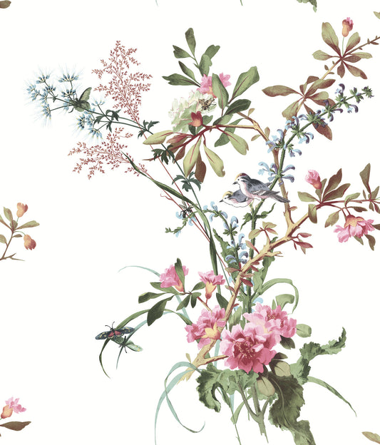 York Wallcoverings Madcap Cottage Wild Flowers Rose Peel and Stick Wallpaper  Botanical Pinks  Wallpaper - PSW1366RL