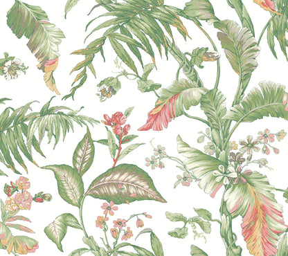 York Wallcoverings Vintage Florals Fiji Garden Pink Peel and Stick Wallpaper  Tropical Multicolor  Wallpaper - PSW1369RL