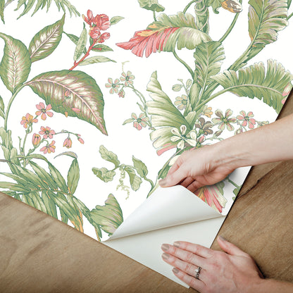York Wallcoverings Vintage Florals Fiji Garden Pink Peel and Stick Wallpaper  Tropical Multicolor  Wallpaper - PSW1369RL