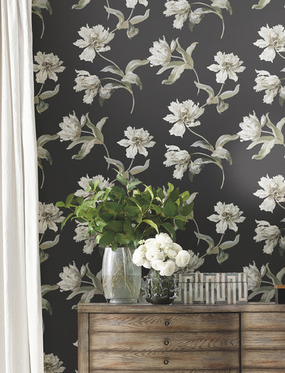 York Wallcoverings Vintage Florals Large Parrot Tulip Black Peel and Stick Wallpaper  Florals and Flowers Blacks  Wallpaper - PSW1372RL