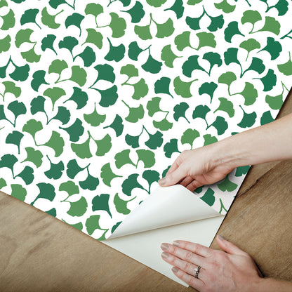 York Wallcoverings Madcap Cottage Forest Glade Forest Geen Peel and Stick Wallpaper  Botanical Greens  Wallpaper - PSW1389RL