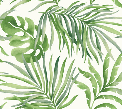 York Wallcoverings Simply Candice Paradise Palm Green Peel and Stick Wallpaper  Botanical Greens  Wallpaper - PSW1412RL