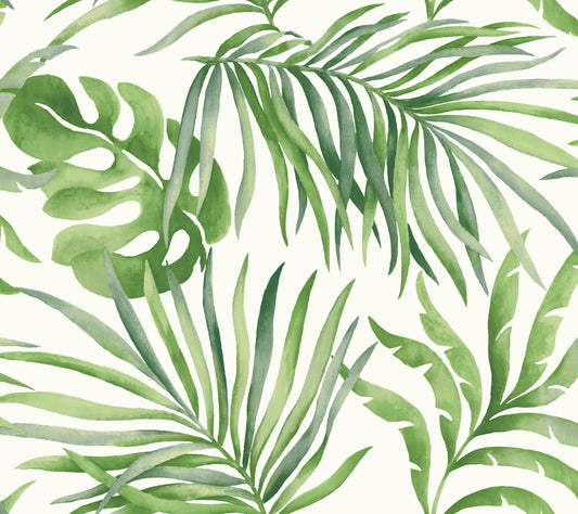 York Wallcoverings Simply Candice Paradise Palm Green Peel and Stick Wallpaper  Botanical Greens  Wallpaper - PSW1412RL