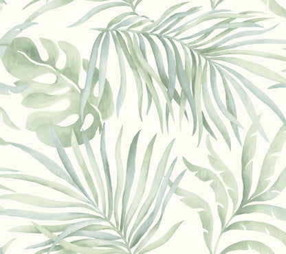 York Wallcoverings Simply Candice Paradise Palm Aloe Peel and Stick Wallpaper  Botanical Greens  Wallpaper - PSW1413RL