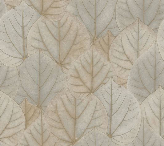 York Wallcoverings Simply Candice Leaf Concerto Warm Taupe Peel and Stick Wallpaper  Botanical Browns  Wallpaper - PSW1425RL