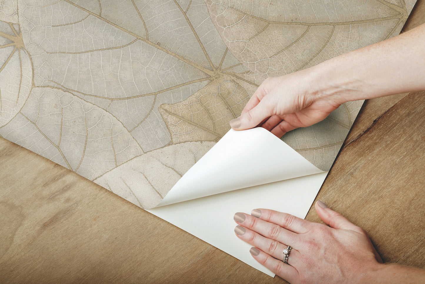 York Wallcoverings Simply Candice Leaf Concerto Warm Taupe Peel and Stick Wallpaper  Botanical Browns  Wallpaper - PSW1425RL