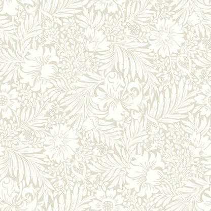 York Wallcoverings Erin and Ben Co. Modern Acanthus Wicker Peel and Stick Wallpaper  Florals and Flowers Beiges  Wallpaper - PSW1445RL