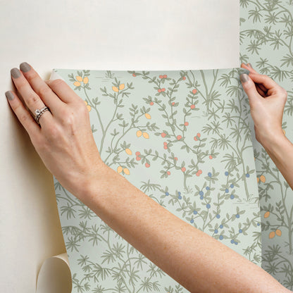 York Wallcoverings Peel and Stick Rifle Paper 2 Lemon Grove Vintage Duck Egg Peel and Stick Wallpaper  Botanical Blues  Wallpaper - PSW1453RL