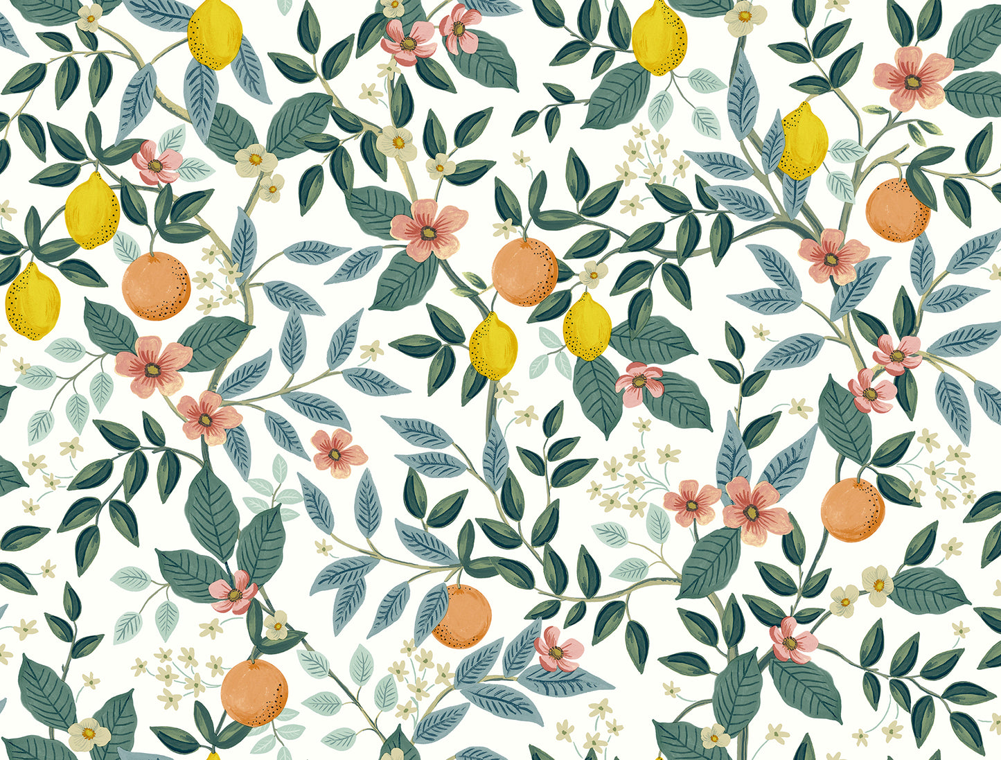 York Wallcoverings Peel and Stick Rifle Paper 2 Citrus Grove White Peel and Stick Wallpaper  Botanical Whites and Off-Whites  Wallpaper - PSW1479RL