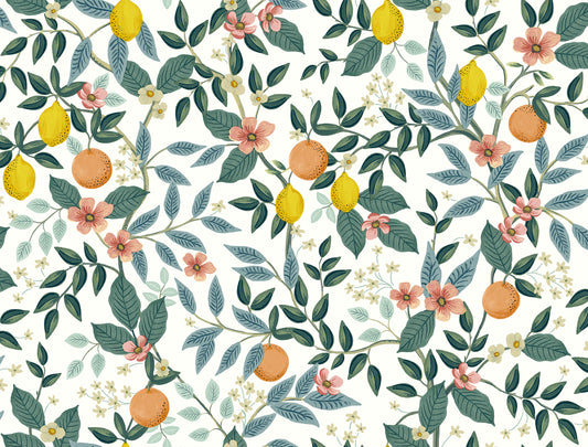 York Wallcoverings Peel and Stick Rifle Paper 2 Citrus Grove White Peel and Stick Wallpaper  Botanical Whites and Off-Whites  Wallpaper - PSW1479RL