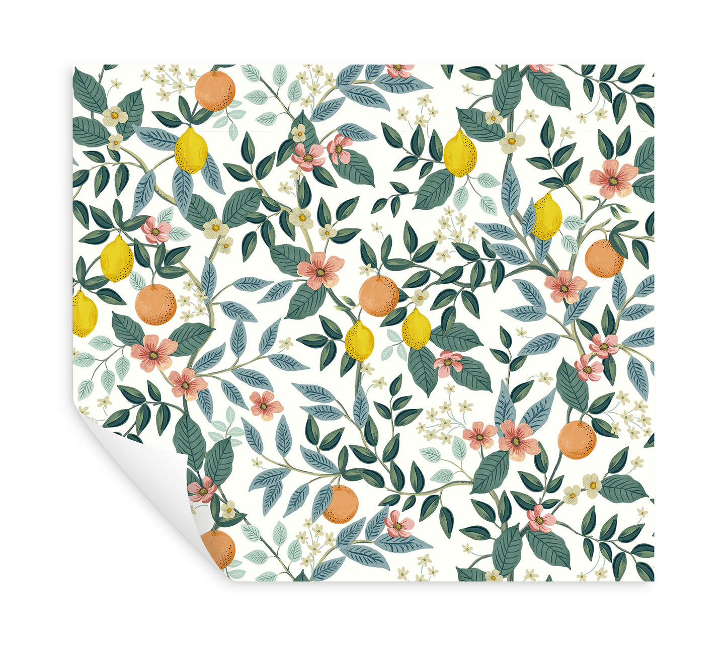 York Wallcoverings Peel and Stick Rifle Paper 2 Citrus Grove White Peel and Stick Wallpaper  Botanical Whites and Off-Whites  Wallpaper - PSW1479RL