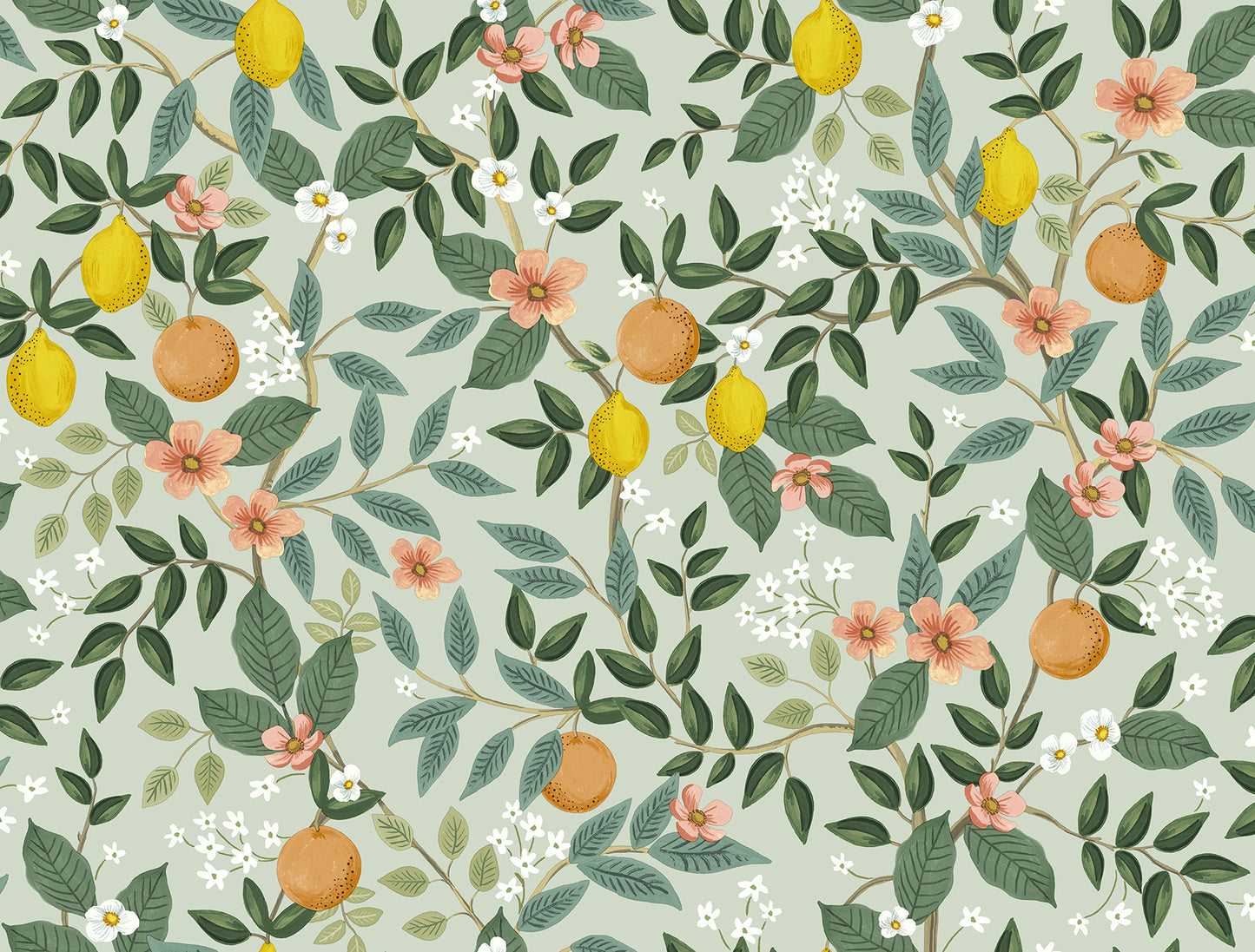 York Wallcoverings Peel and Stick Rifle Paper 2 Citrus Grove Mint Peel and Stick Wallpaper  Botanical Greens  Wallpaper - PSW1480RL