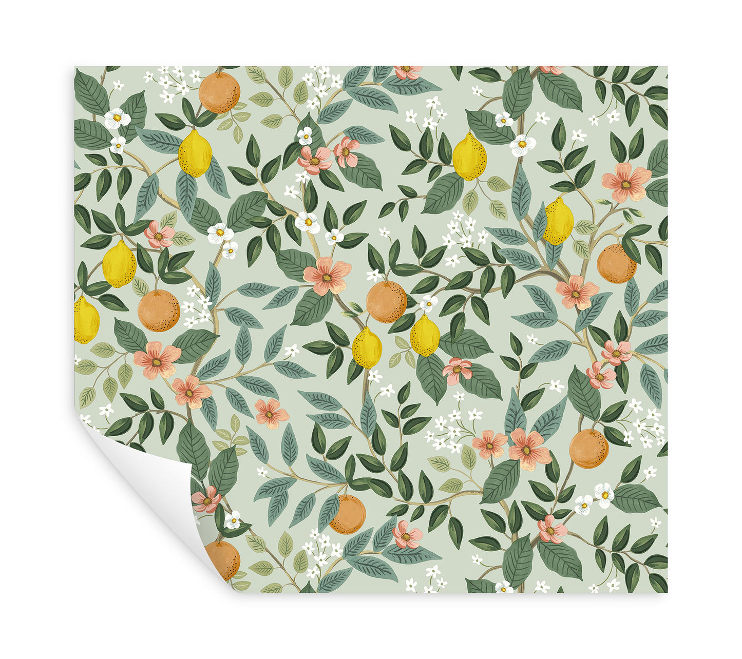 York Wallcoverings Peel and Stick Rifle Paper 2 Citrus Grove Mint Peel and Stick Wallpaper  Botanical Greens  Wallpaper - PSW1480RL