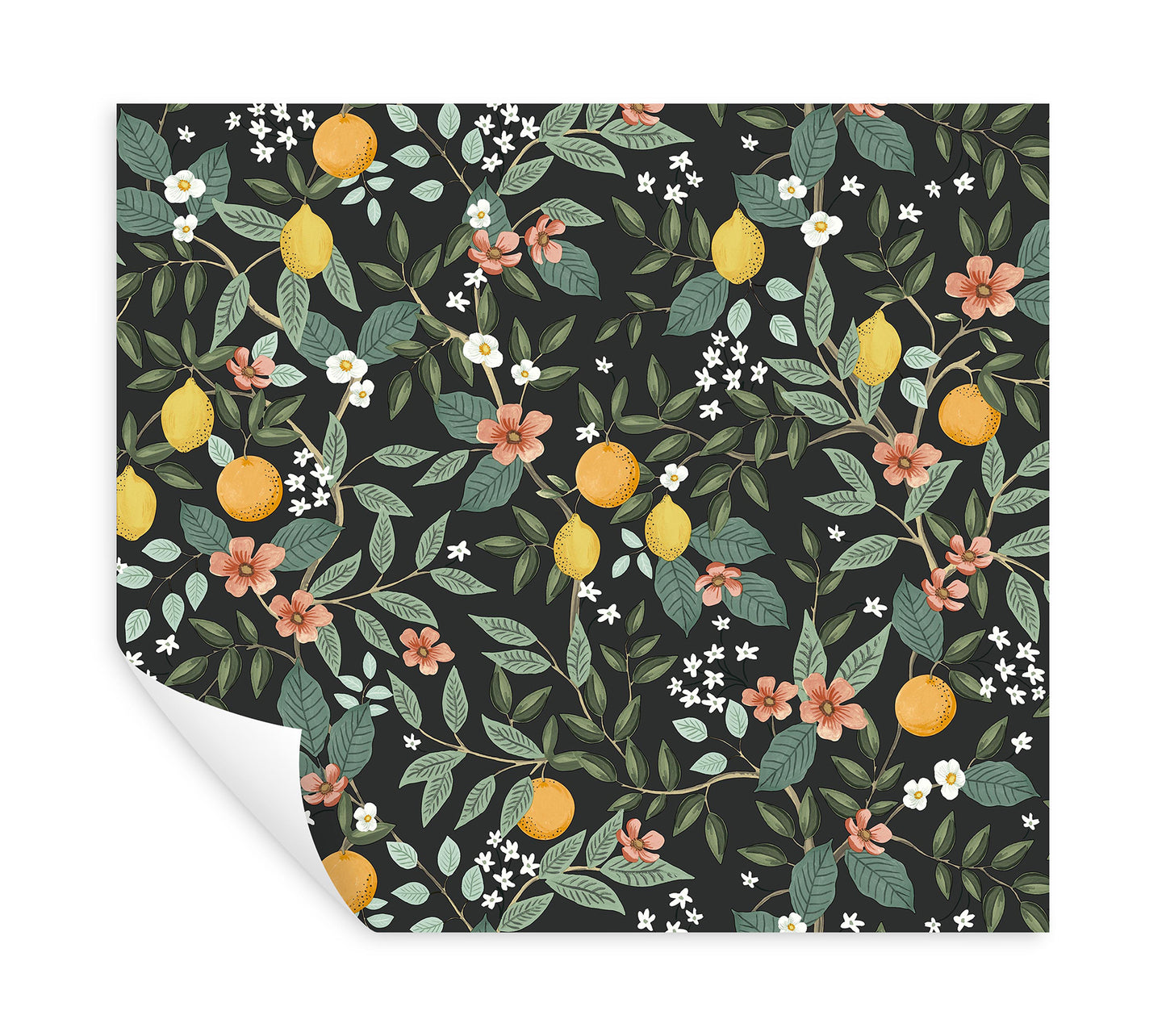 York Wallcoverings Peel and Stick Rifle Paper 2 Citrus Grove Black Peel and Stick Wallpaper  Botanical Blacks  Wallpaper - PSW1482RL