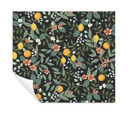 York Wallcoverings Peel and Stick Rifle Paper 2 Citrus Grove Black Peel and Stick Wallpaper  Botanical Blacks  Wallpaper - PSW1482RL