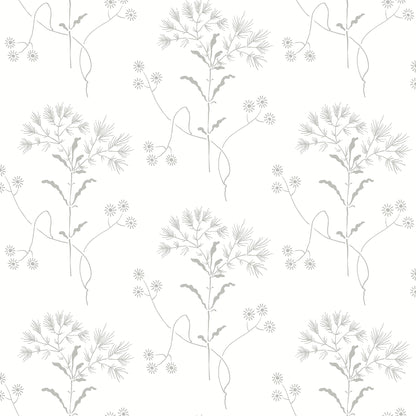 Soft gray botanical wallpaper pattern featuring delicate stems with leaves and dandelion-like seed heads.