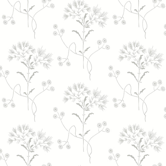 York Wallcoverings Magnolia Home Wildflower Grey Wallpaper  Florals and Flowers Blacks  Wallpaper - PSW1502RL