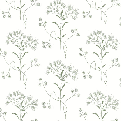 York Wallcoverings Magnolia Home Wildflower Green Wallpaper  Florals and Flowers Greens  Wallpaper - PSW1503RL