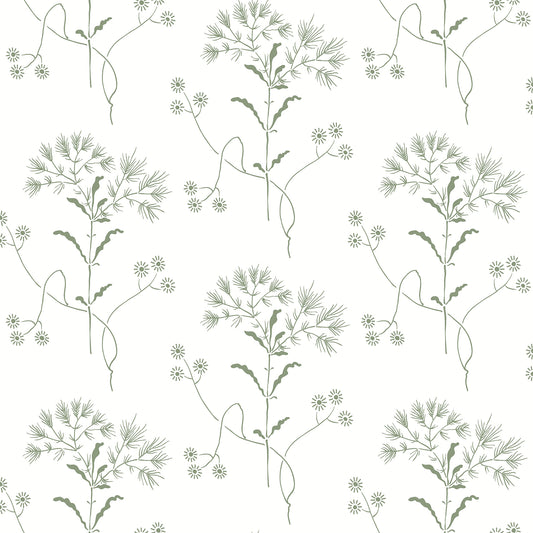 York Wallcoverings Magnolia Home Wildflower Green Wallpaper  Florals and Flowers Greens  Wallpaper - PSW1503RL
