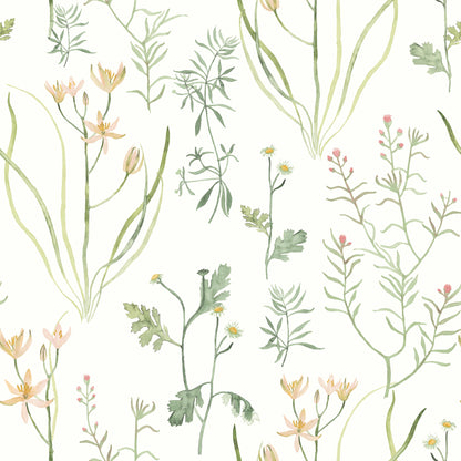 York Wallcoverings Watercolor Botanicals Alpine Botanical Peach Peel and Stick Wallpaper  Botanical Oranges  Wallpaper - PSW1519RL