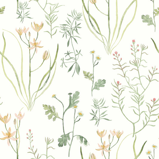 York Wallcoverings Watercolor Botanicals Alpine Botanical Peach Peel and Stick Wallpaper  Botanical Oranges  Wallpaper - PSW1519RL
