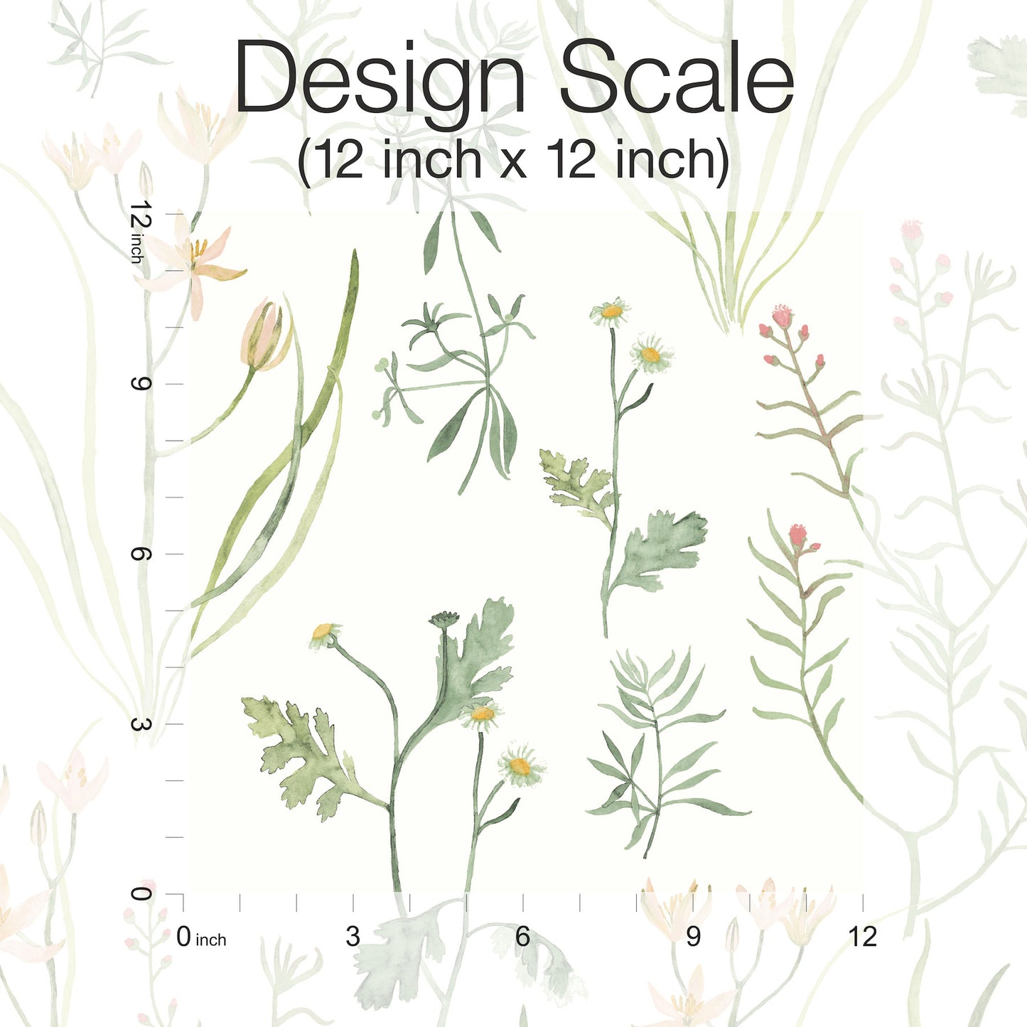 York Wallcoverings Watercolor Botanicals Alpine Botanical Peach Peel and Stick Wallpaper  Botanical Oranges  Wallpaper - PSW1519RL