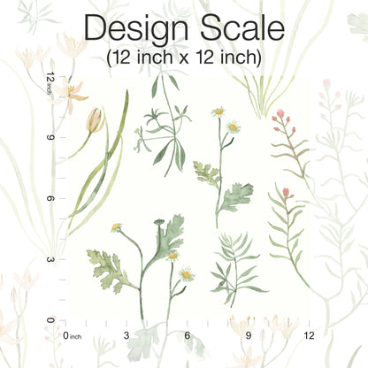 York Wallcoverings Watercolor Botanicals Alpine Botanical Peach Peel and Stick Wallpaper  Botanical Oranges  Wallpaper - PSW1519RL