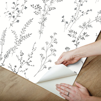 York Wallcoverings Watercolor Botanicals Wildflower Sprigs Black and White Peel and Stick Wallpaper  Botanical Blacks  Wallpaper - PSW1522RL