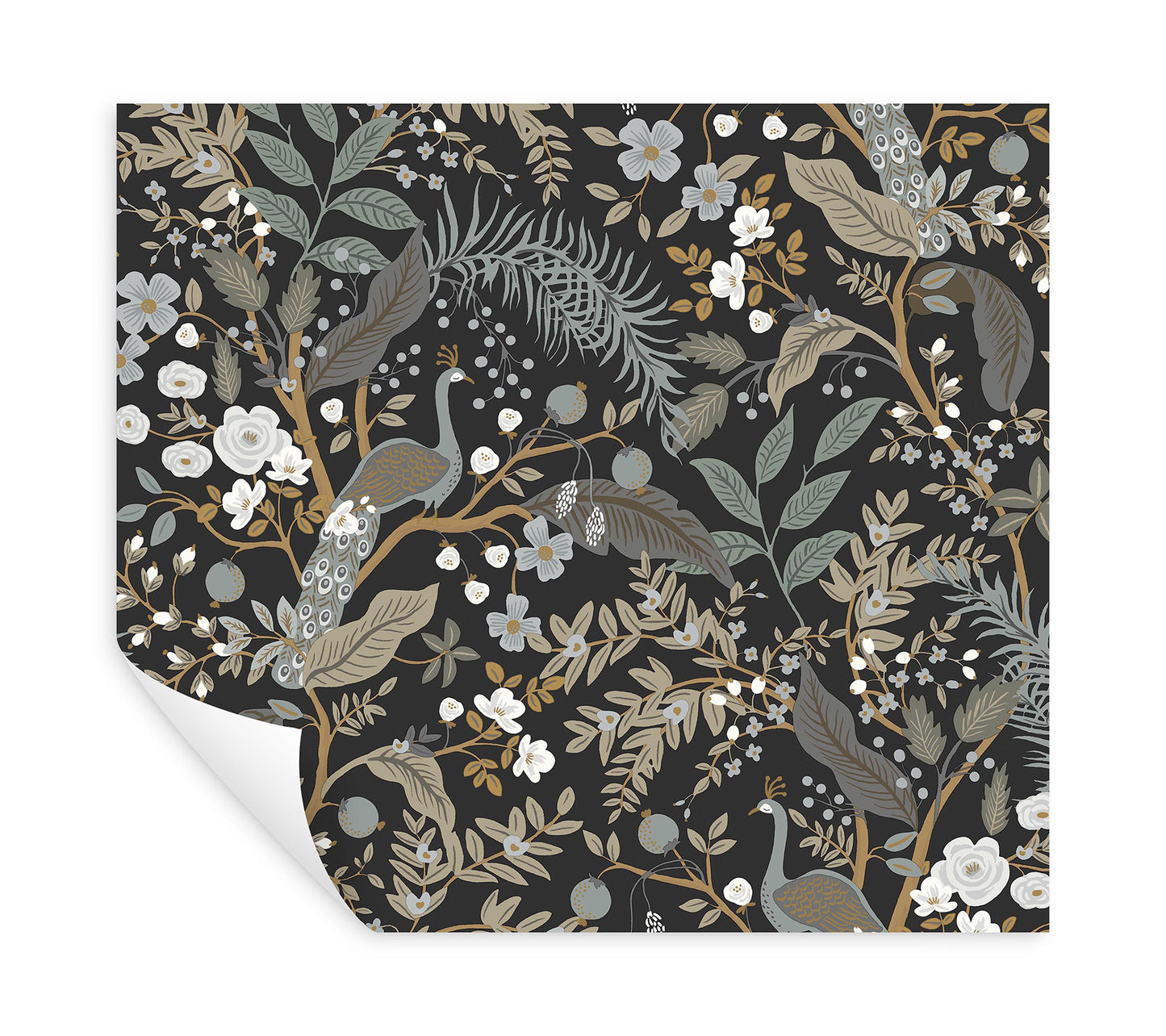 York Wallcoverings Peel and Stick Rifle Paper 3 Peacock Garden Black Peel and Stick Wallpaper Whimsical Animals and Insects Blacks  Wallpaper - PSW1537RL
