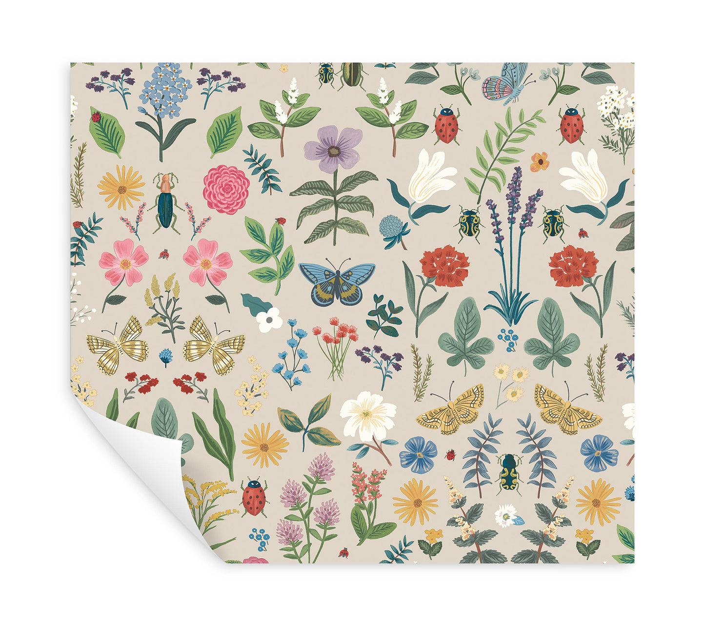 York Wallcoverings Peel and Stick Rifle Paper 3 Curio Linen Peel and Stick Wallpaper Whimsical Animals and Insects Beiges  Wallpaper - PSW1541RL