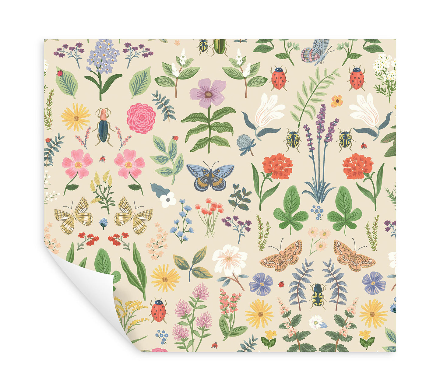 York Wallcoverings Peel and Stick Rifle Paper 3 Curio Cream Peel and Stick Wallpaper Whimsical Animals and Insects Whites and Off-Whites  Wallpaper - PSW1542RL